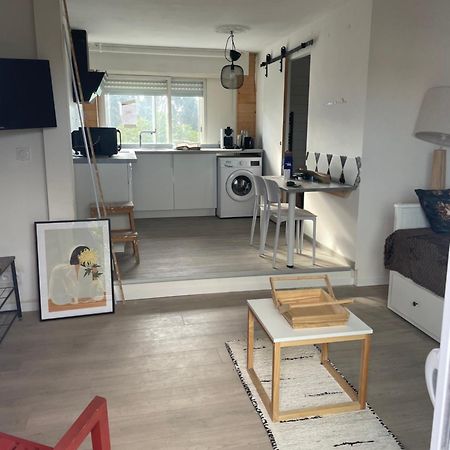 Studio A 15 Mn De Toulouse A Castelginest Exteriér fotografie